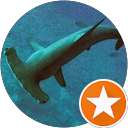 Max Chiari profile picture