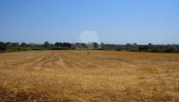 Terreno Residenziale