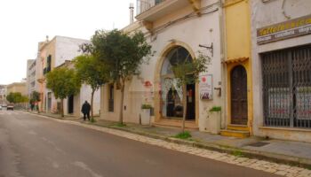 Le vigne del Salento