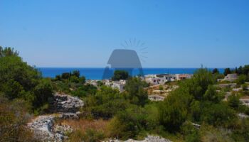 Macchia Mediterranea